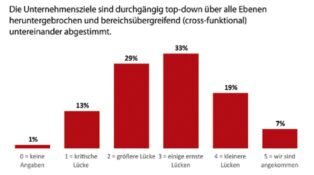 Welchen Lean-Reifegrad haben Unternehmen?