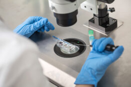 in vitro diagnostics