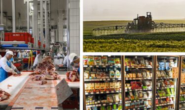 Die Lebensmittelindustrie steht im Widerstreit von Nachhaltigkeit, Wirtschaftlichkeit und Konsumverhalten.© Pixabay.com